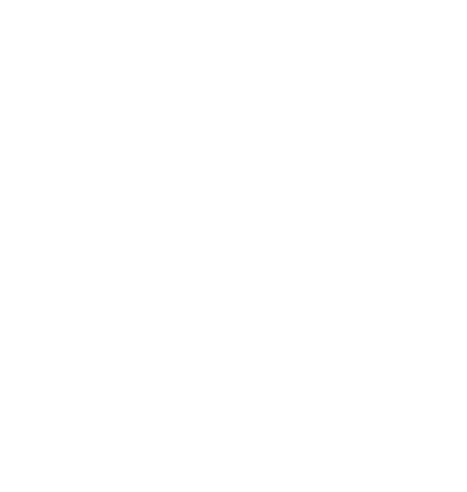 DXB Dubai Property